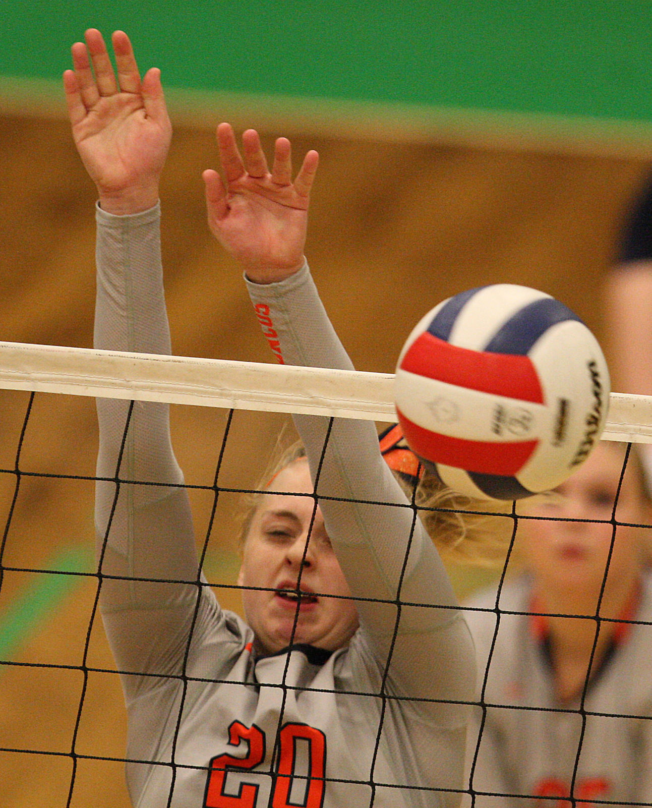 Meridian vs Cerro Gordo volleyball 11 9.19.16.jpg